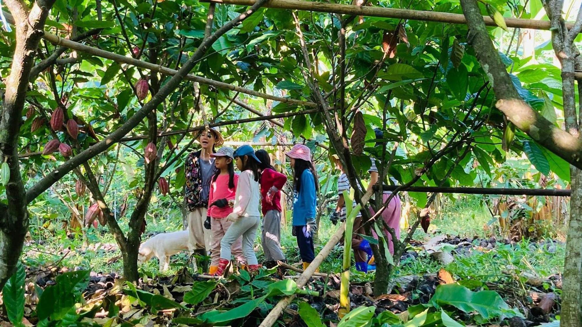 Nhà ở miền quê Nui Tuong Village *